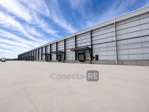 Depósito 15.000 m² Premium a Estrenar en Alquiler - Ruta Ezeiza Cañuelas km 44