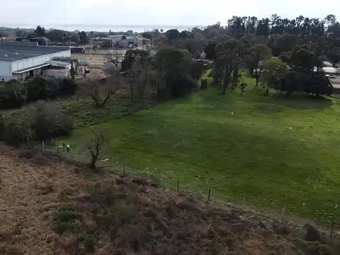 Terreno en Venta de 8000,0 m2