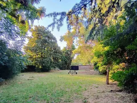 Terreno en Venta 51  mts Fondo