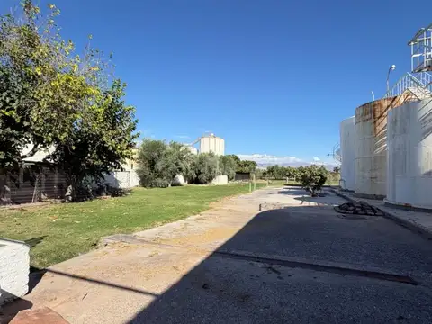 Terreno en Alquiler 134,30  mts Fondo