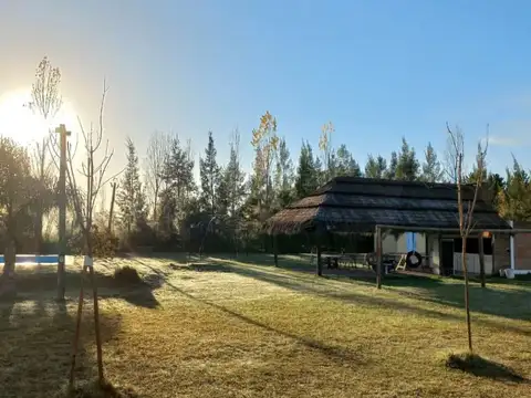 Quinta en Venta en Carlos Keen, USD 270.000