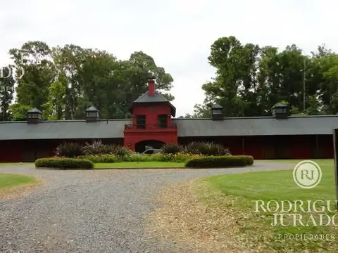 Lote Central Haras San Pablo