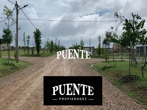 Estilo Campo 