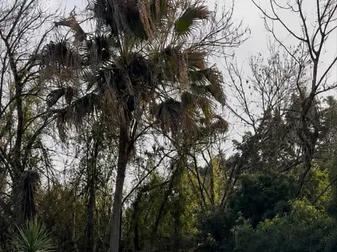 Quinta en venta -  VENADO TUERTO