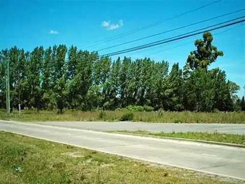Colectora Oeste