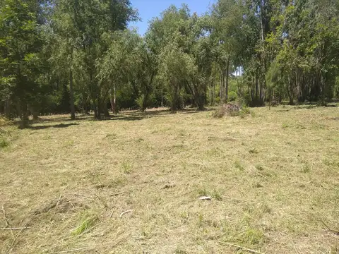 Terreno Lote  en Venta en Espera, Zona Delta, Tigre