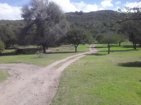 El Trapiche