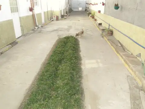 Santa cruz al 200 , Piso 0