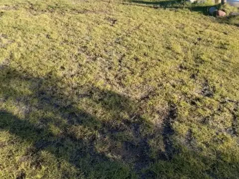 Terreno en Venta de 1200,0 m2
