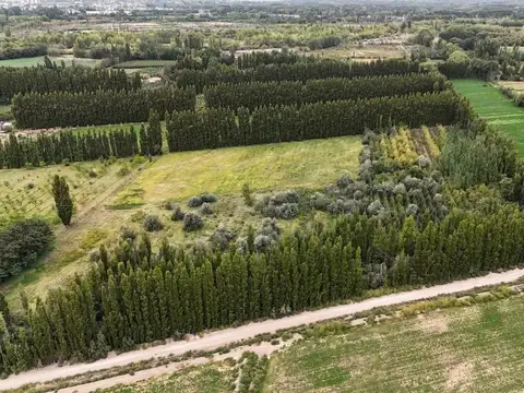 Zona Rural, Centenario, Calle 20, Lote 75