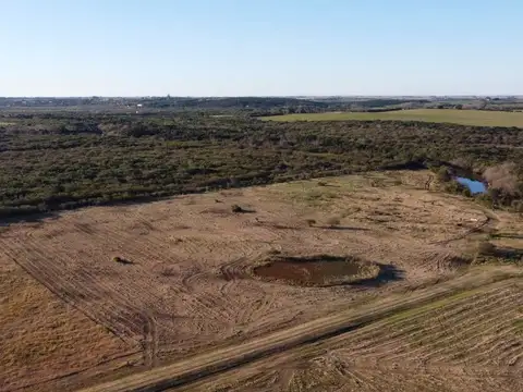 Terreno en Venta, Carmelo "Las perdices" C/amarre