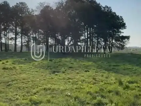 Terreno en Venta en Pilara, USD 120.000