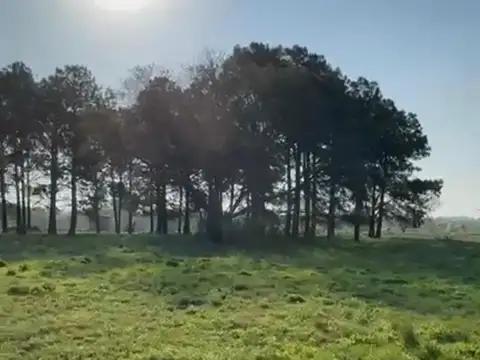 Lote en Pilara, El Tilbury  (Parque) Teresa Urdapilleta Propiedades