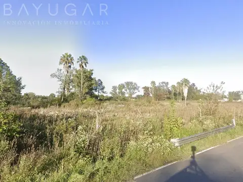 Venta Fracción 8 has - Acceso Oeste - Gral Rodriguez