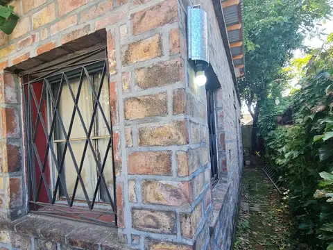 Campichuelo 3100
