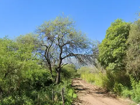 Terreno en Venta en Luyaba, USD 10.000