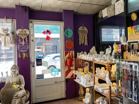 VENTA FONDO DE COMERCIO DISEÑO FIGURAS DE CEMENTO Y MOLDURAS