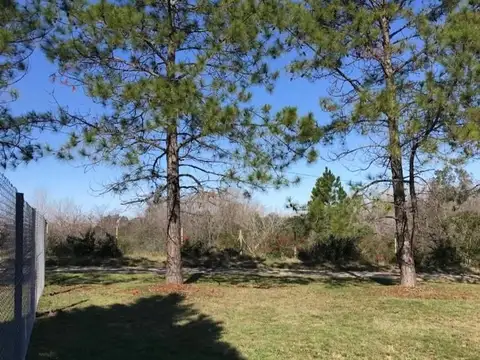 Terreno en venta
