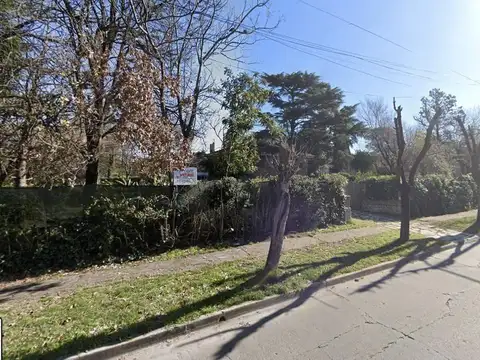 Constanzo 686