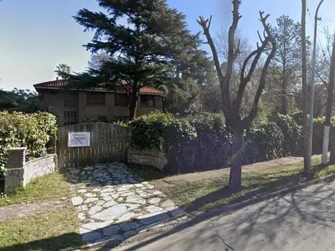 Constanzo 686