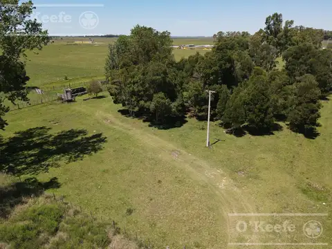 CHACRA EN VENTA, CHASCOMUS - 46 Has SOBRE RUTA 2!