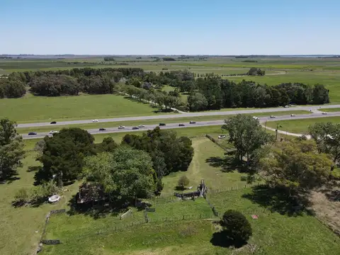 CHACRA EN VENTA, CHASCOMUS - 46 Has SOBRE RUTA 2!