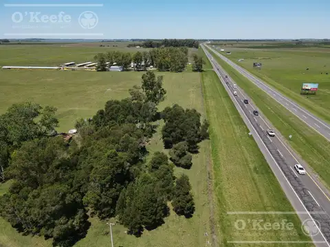 CHACRA EN VENTA, CHASCOMUS - 46 Has SOBRE RUTA 2 !!!