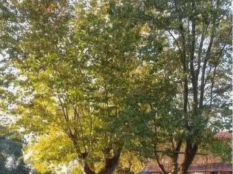 Terreno en Venta en Canning, USD 15.500