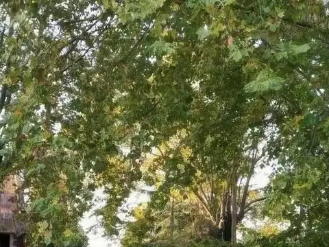 Terreno en Venta de 300,0 m2