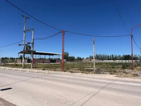 SATURNINO FRANCO Y LADISLAO BIRO