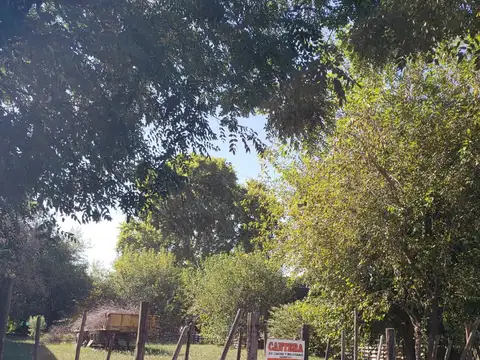 RUTA 24
