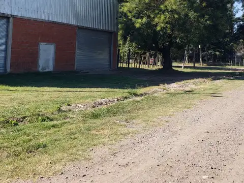 RUTA 24