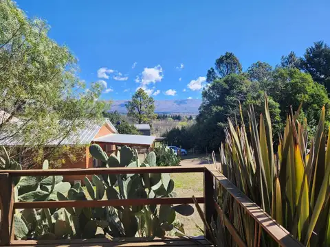 LOS PINOS YACANTO 100