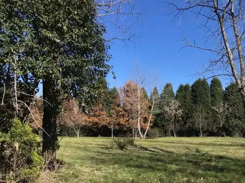Terreno en Venta de 1240,0 m2