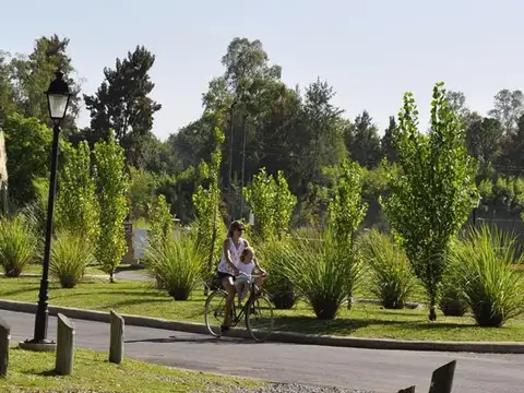 Terreno en Venta de 796,0 m2