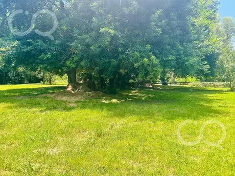 Terreno en Venta de 5200,0 m2