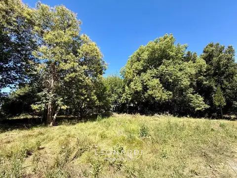 Terreno en Venta 25  mts Frente