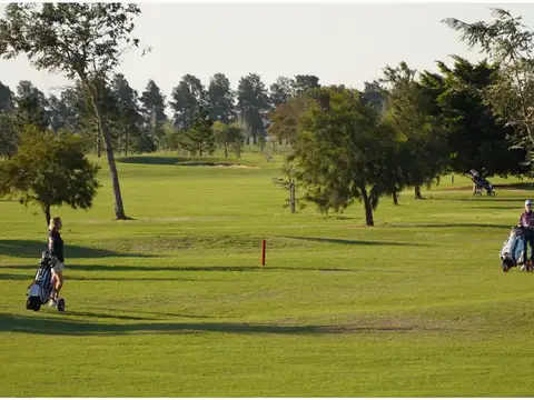 Terreno en Venta 20  mts Frente