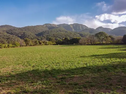 Chicoana