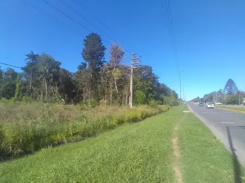 Terreno en Venta 31,80  mts Fondo