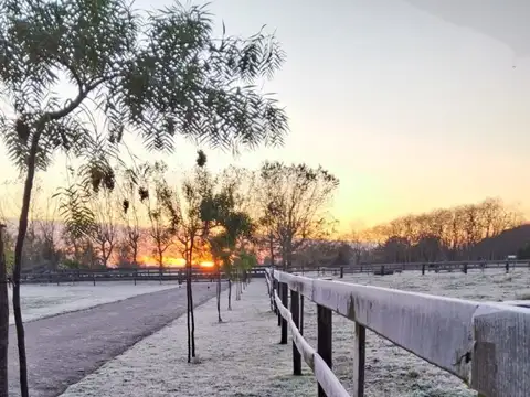 6.5 Hectáreas en venta en Castelli