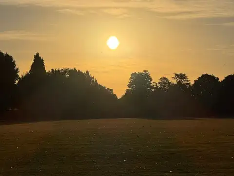 6.5 Hectáreas en venta en Castelli