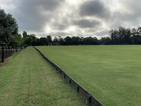 6.5 Hectáreas en venta en Castelli