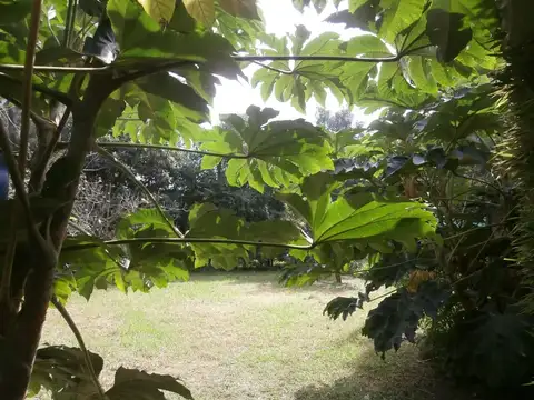 Terreno en Venta 21,65  mts Frente