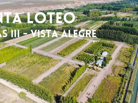 VENTA TERRENO FINCAS III VISTA ALEGRE NORTE