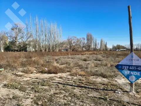 Terreno en Venta 231  mts Fondo