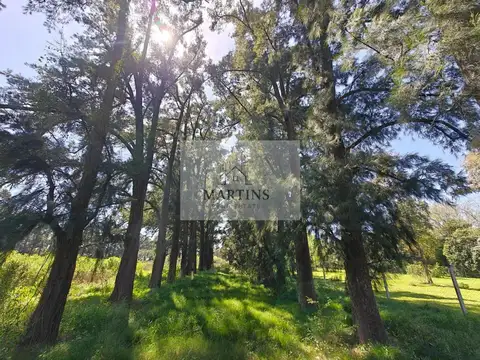 Terreno en venta en Pilar La Lonaja calle Saravi