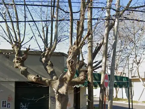 RAM. Venta de dos casas con local en Bella Vista