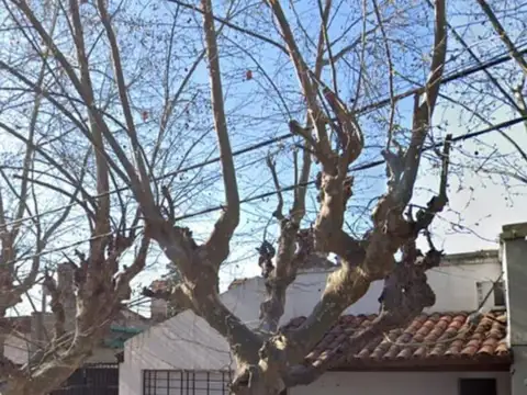 Concejal Acosta 1000