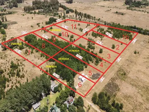 CHACRA DE 1 HECTAREA EN VENTA EN CAÑUELAS